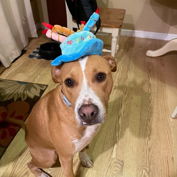 Live Sat 11/29 7:30 pm Small Business Saturday Blowout Sale M-3X Low Starts - Picture 16 of 16